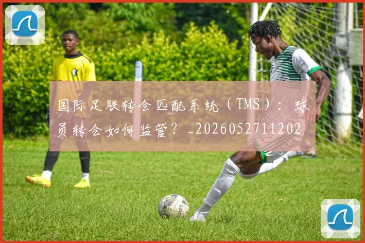 国际足联转会匹配系统（TMS）：球员转会如何监管？_20260527112023